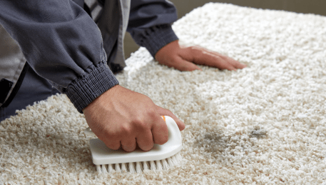 Professional Rug Cleaning Bellarine