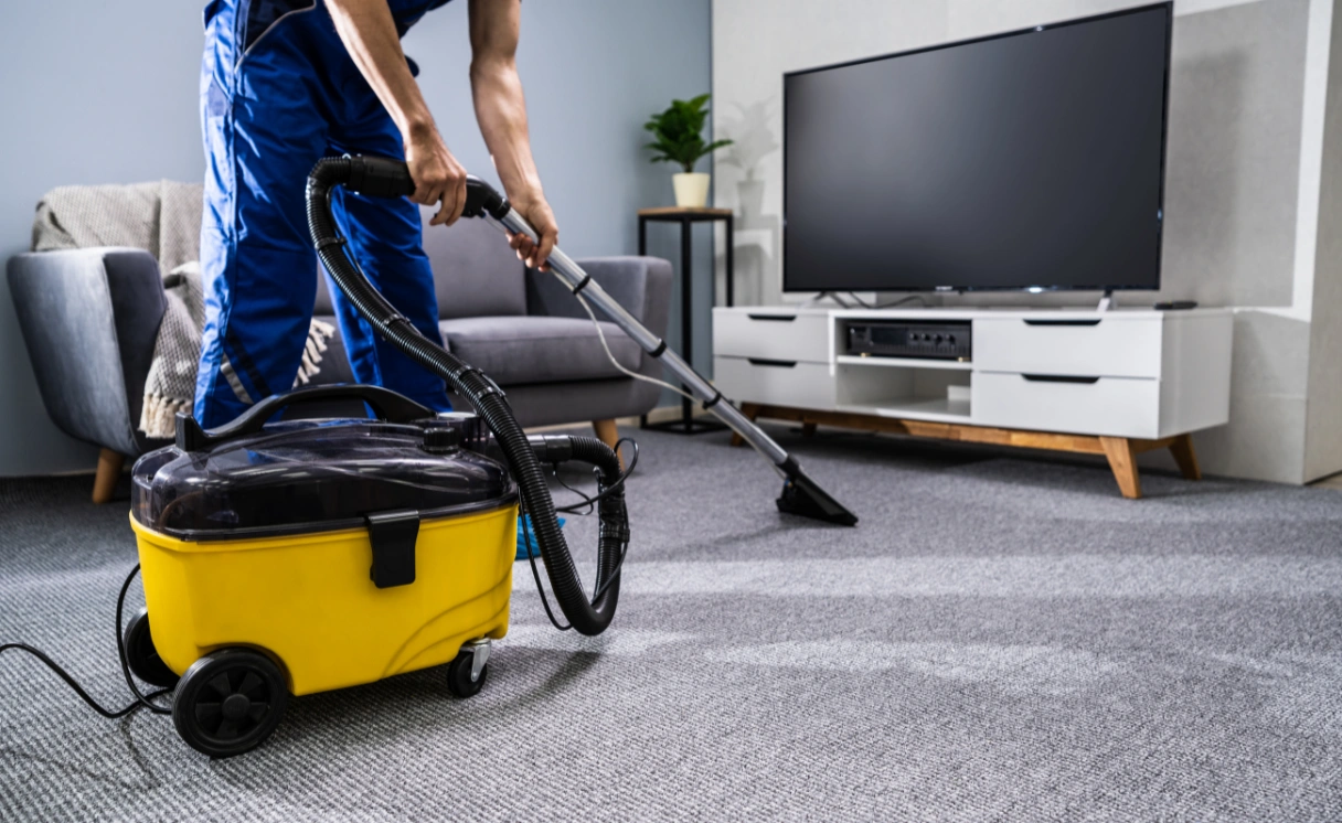 Extract Rug Cleaning Bellarine Contact Office